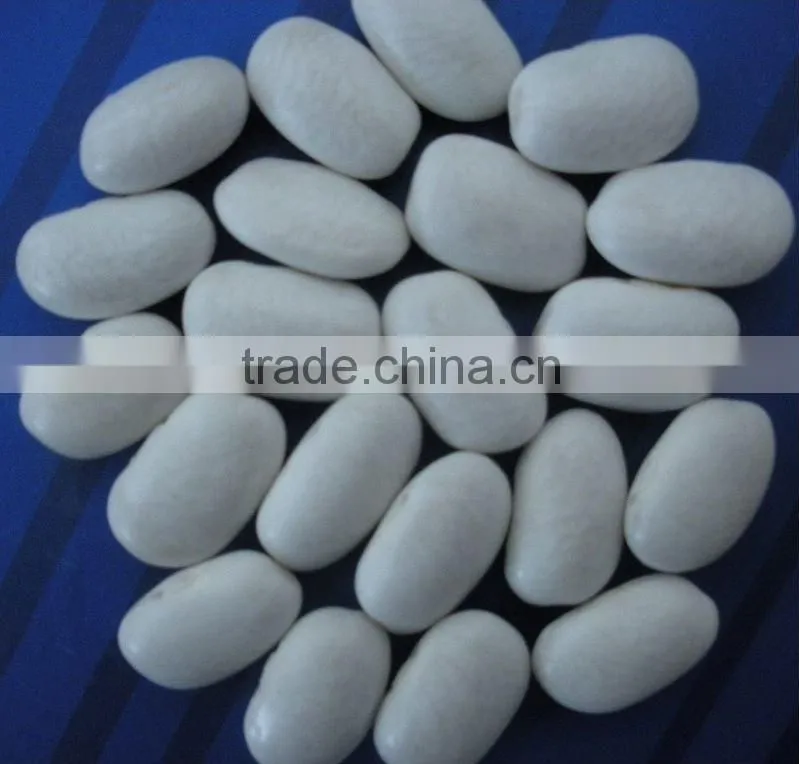 Medium White Kidney Beans