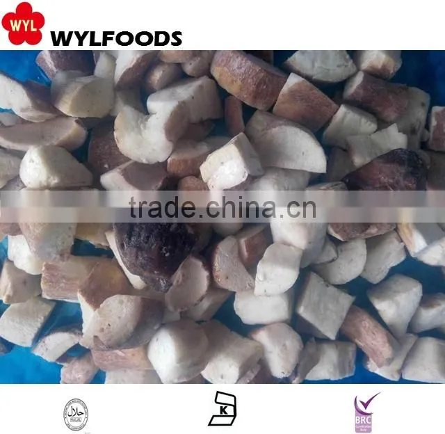 frozen boletus edulis yunnan for hot sale