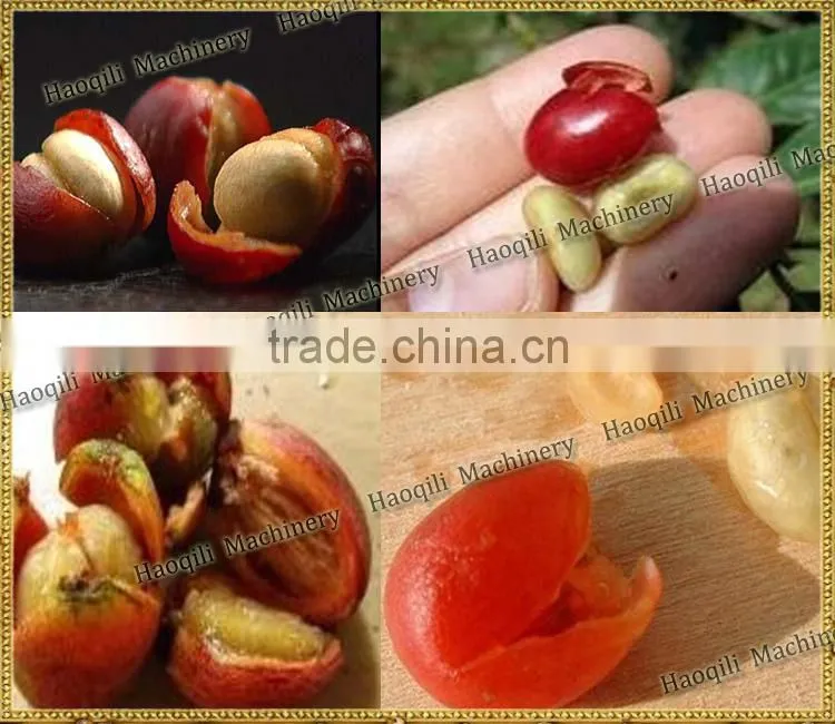 2015 the latest design for coffee bean shelling machine