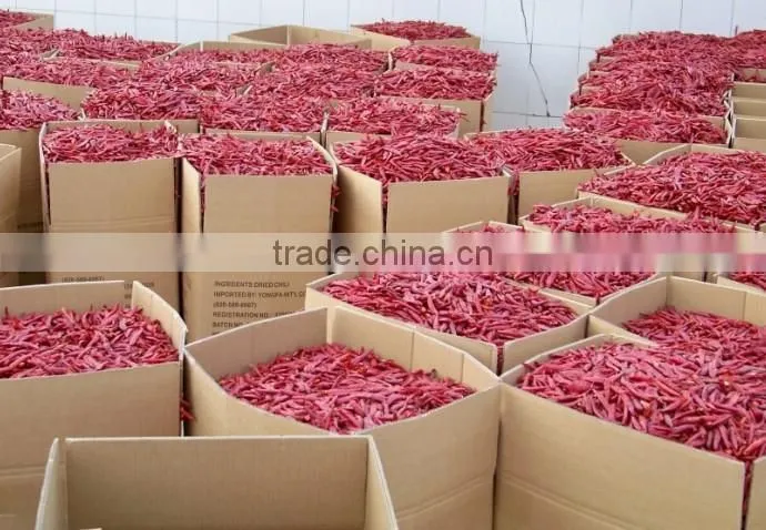 Premium Quality Indian Dry Red Chilli Exporters