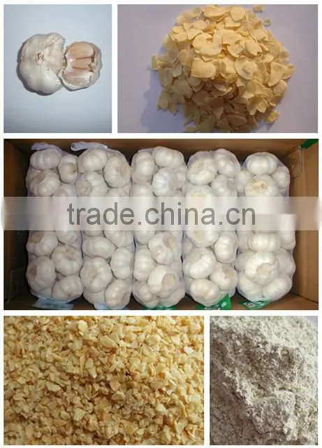 Exported Well-Chosen Certificated HACCP/HALAL Red Cutting Sanying Chilli
