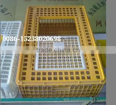 Live chicken box/transportation chicken cages