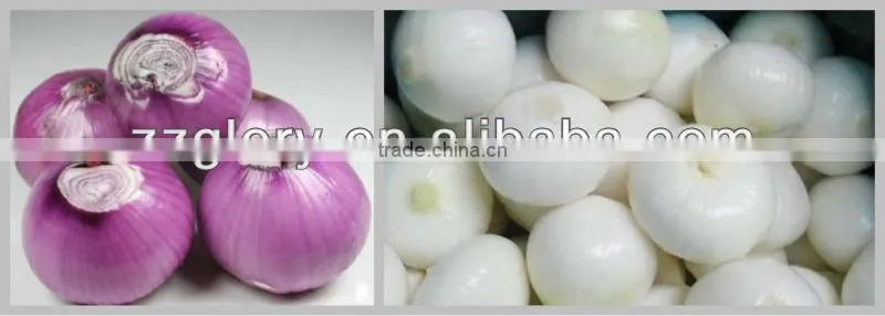 Convenient and Advanced Peeling Machine For Onion Skin