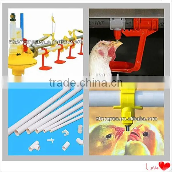 fully automatic chicken cage equipment for poultry farming