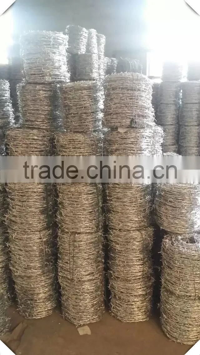 high quality antique barbed wire for sale / 12#*14# galvanized barbed wire