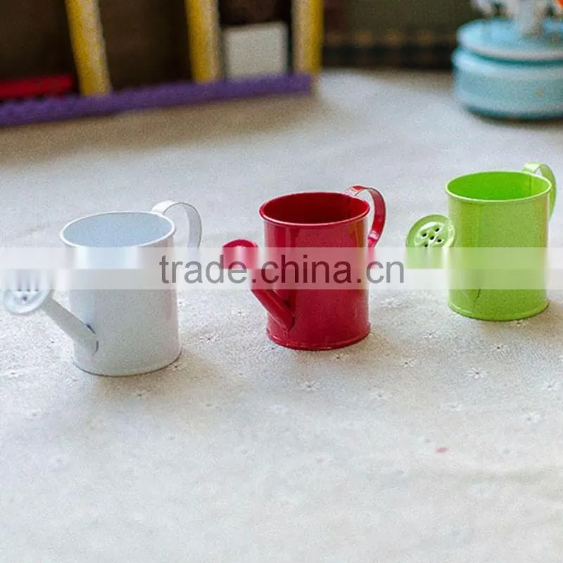 cheap small indoor 2 or 2.5 inches white metal flower watering can mini planter for succulents
