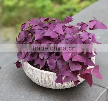 cheap flower stands small round flower pots planters for sale