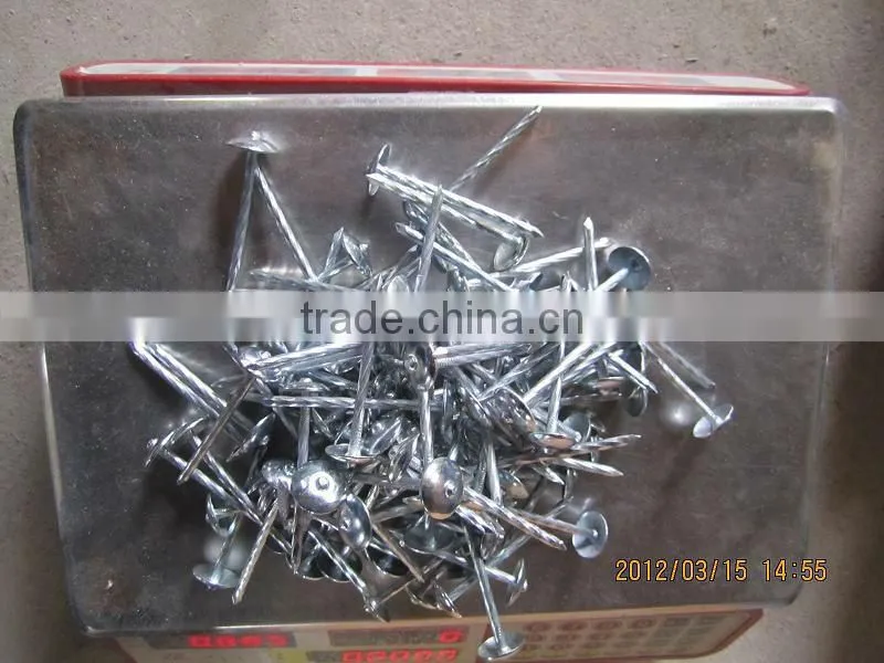 roofing nails/roofing nail supplies