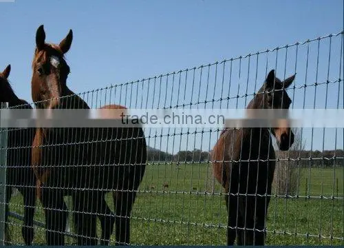 Stainles Wire Grassland Fence