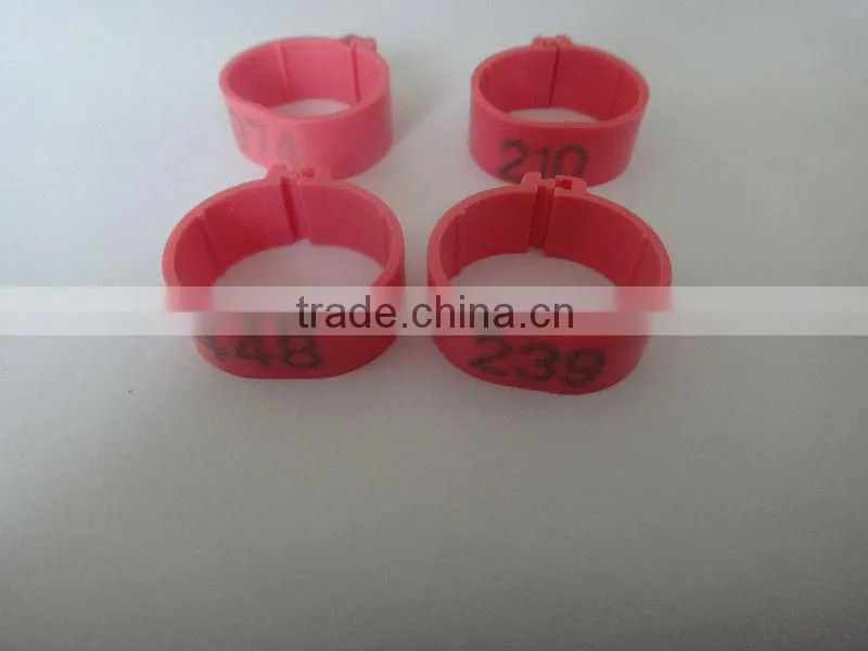 small plastic leg rings to distinguish chicken or birds