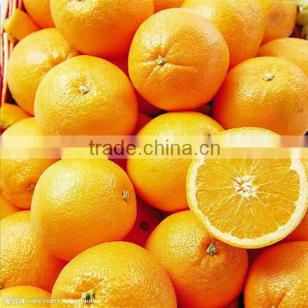 Low price Navel orange in china