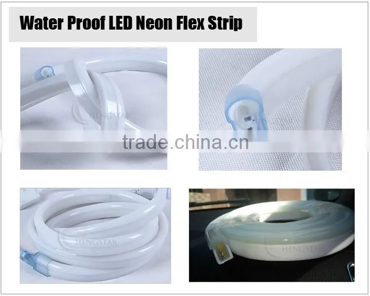 5M 300LEDs 24V 12V LED Neon Flex Digital Programmable RGB Neon LED Strip