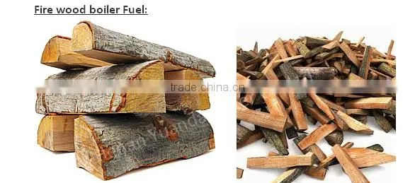 DZH2 2000KG steam per hour wood boiler price