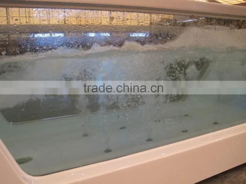 glass panel massage bathtub