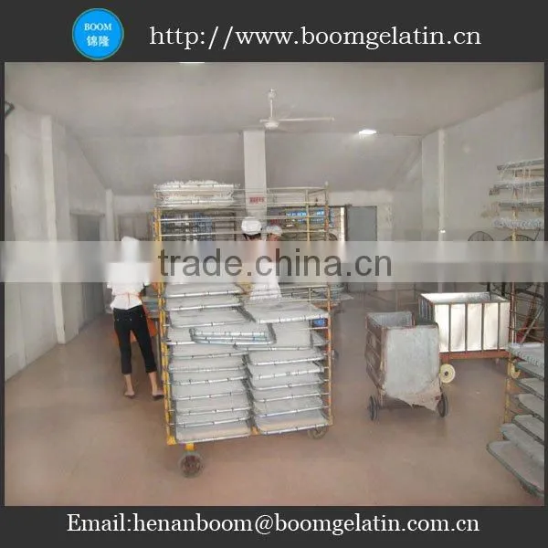 pharmaceutical grade gelatine