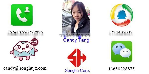 PVC Magnet Strip / PVC Profiles Production Line/making machine