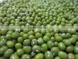 Organic Fresh Green Beans