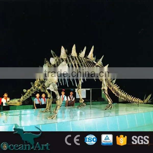 BY-DY-041406 Natural Science and History Museum Dinosaur Skeleton Model