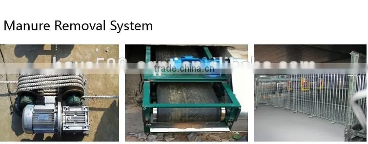 automatic chicken manure removal system