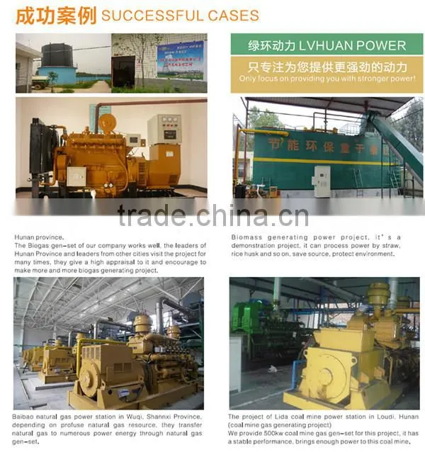 CE certified 10kw - 1mw methane coal gas generator /shale gas generator for sale