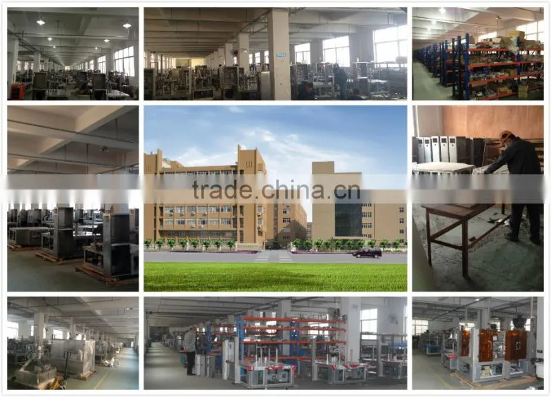 High speed new condition and grade rotary premade stand up bag counting full automatic Beverage Carousel type Bagger