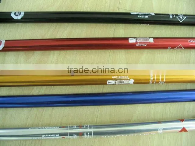 GS Certificate Walking stick SL-25-3