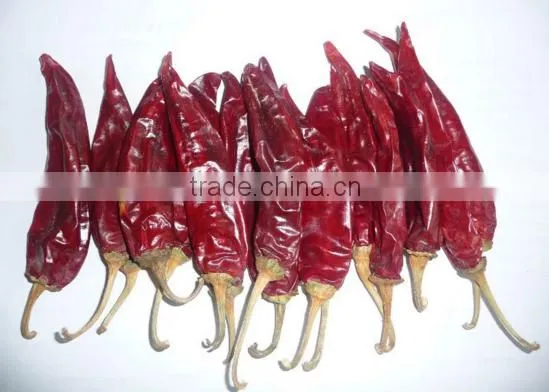 American red chilli new crop export hot with or without stem