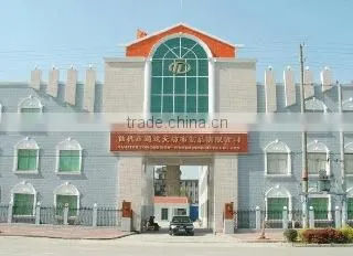 Xiantao Tongda Non-Woven Products Co., Ltd. company overview - view 1