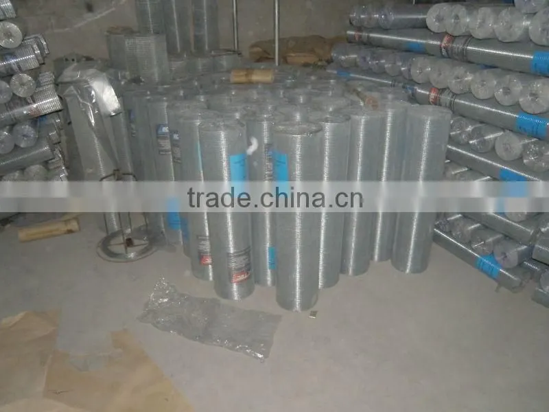 electro galvanized welded wire mesh