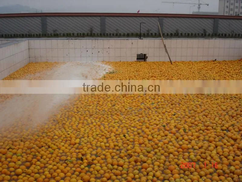 turn key full automatic orange juice processing line