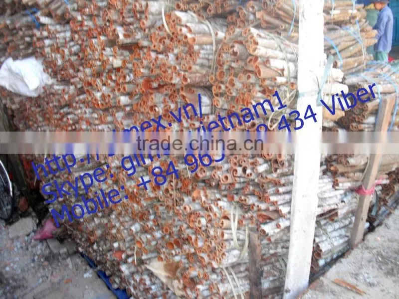 VIETNAM CINNAMON