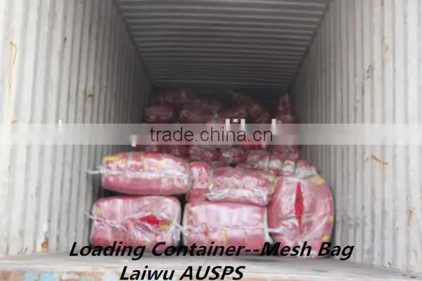 Plastic PP HDPE Woven Leno Raschel Mesh Bag For potato, Onion, fruit