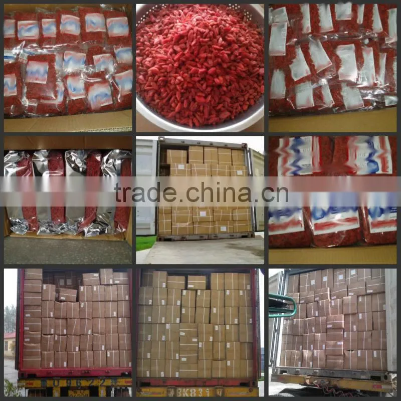 Bulk goji berries goji berry price