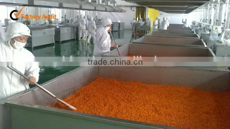 dehydrated onion from china