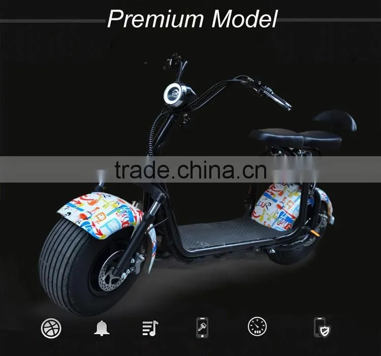 60V 12AH 1000 Watt Urban Electric Scooter Halley Mobility Scooter