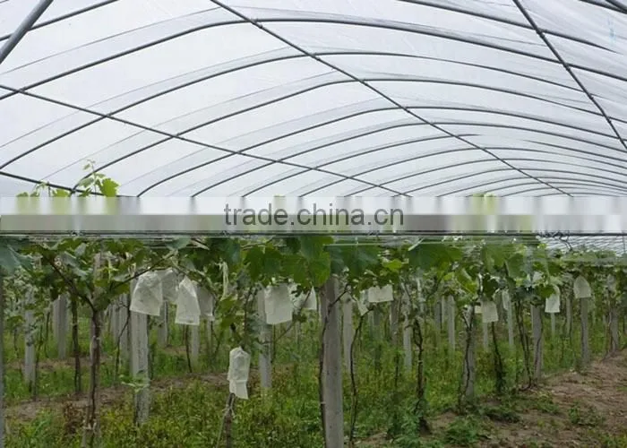 3 Years Warranty Best Sale Banana Fruit Bag / Frost Cover