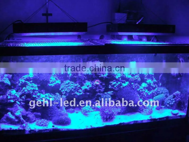 fish tank 55x3w led aquarium light for marine &coral reef