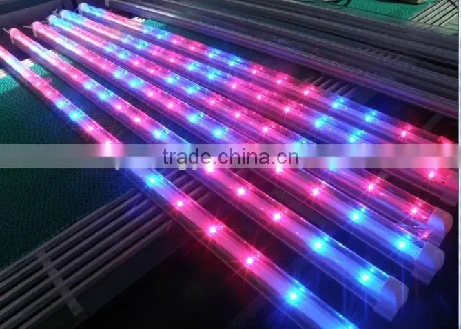 Best seller 10W led grow light tube T8 Bridgelux chip for bamboo seedlings