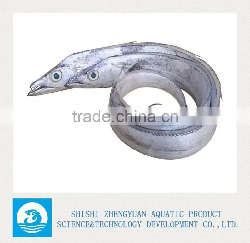 Frozen Ribbon Fish Hairtail Fish