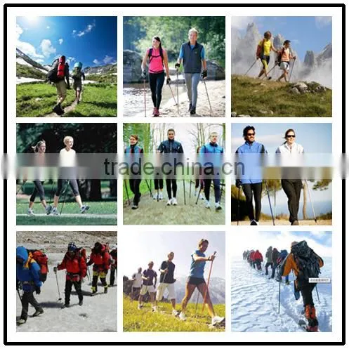 Free sample nordic walking poles,nordic walking sticks