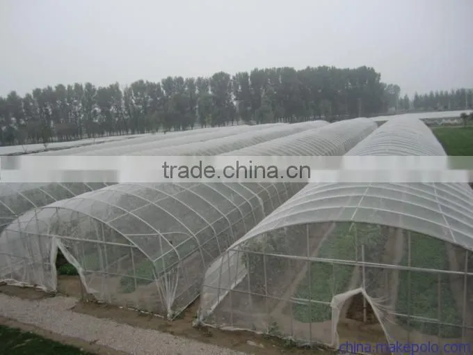 70GSM white anti-hail net for vineyard ,greenhouse