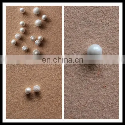 High Quality Popular Apparel Accessory/Button/ Garment Button