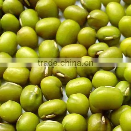 Organic yellow mung bean