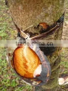 Sap of Lacquer tree
