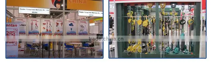 Hot sales! Copper wire mini electric hoist