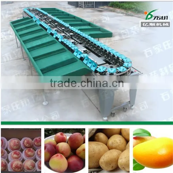 apple/dragon fruit/kiwi fruit sorting machine Fruit and Vegetable Sorting Maching Fruit Sorter