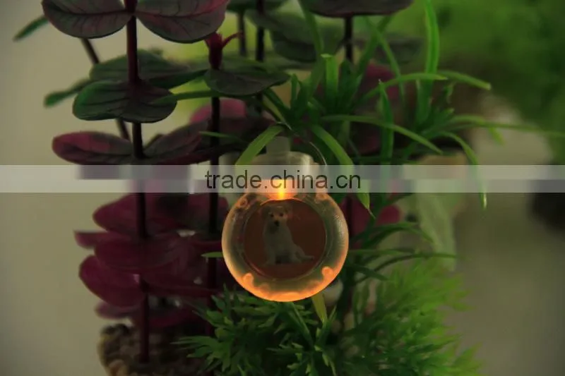 Mixed Wholesale 6 Styles 5 Colors Led Light Pet Pendant Dog Tag Pendant
