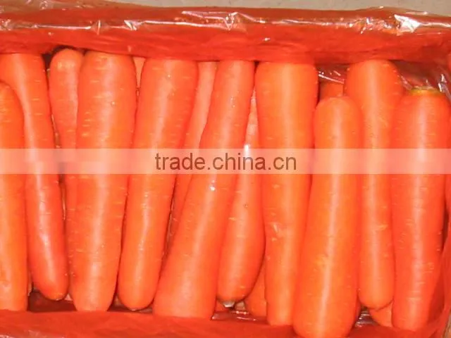 2013 fresh carrot