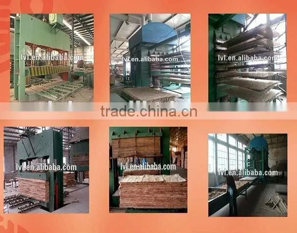 OSB in packaging grade and construction grade