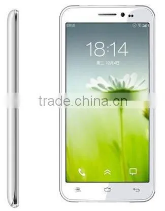 5.9" MTK 8312 smart mobile phone dual core LCD Android 4.2 512MB
